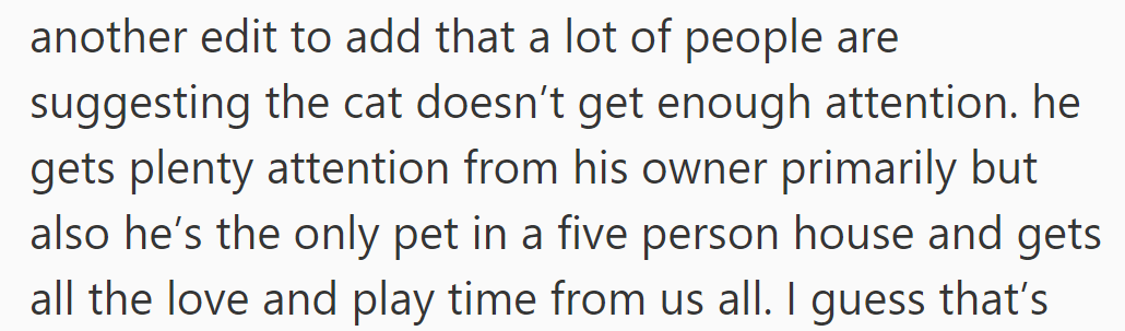Despite suggestions, the cat in their five-person household receives ample attention and care from everyone.