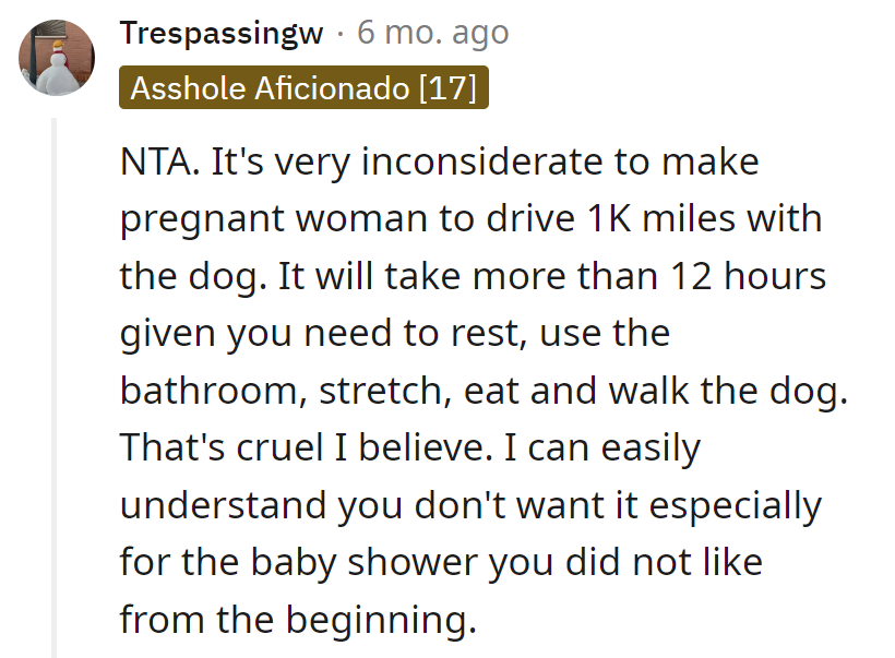 Driving 1K miles with a dog and a baby bump? That's not a road trip; it's a cruel and unusual baby shower punishment.