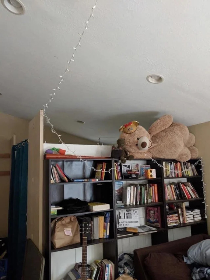 That's how small the renter's room would be.