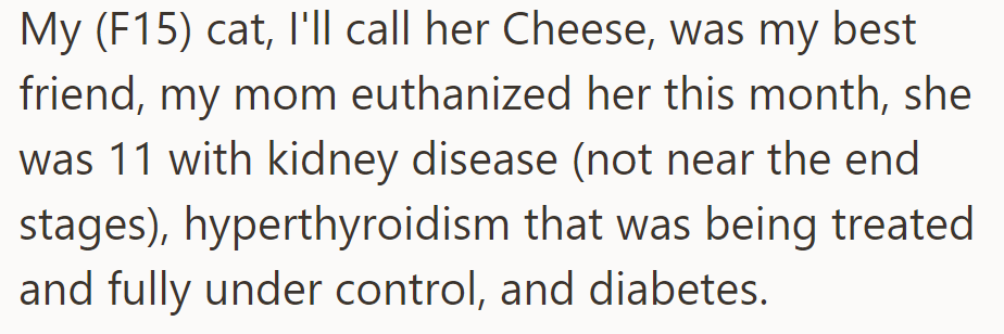 Cheese, OP's 11-Year-Old Cat, Was Euthanized Due to Multiple Health Issues.