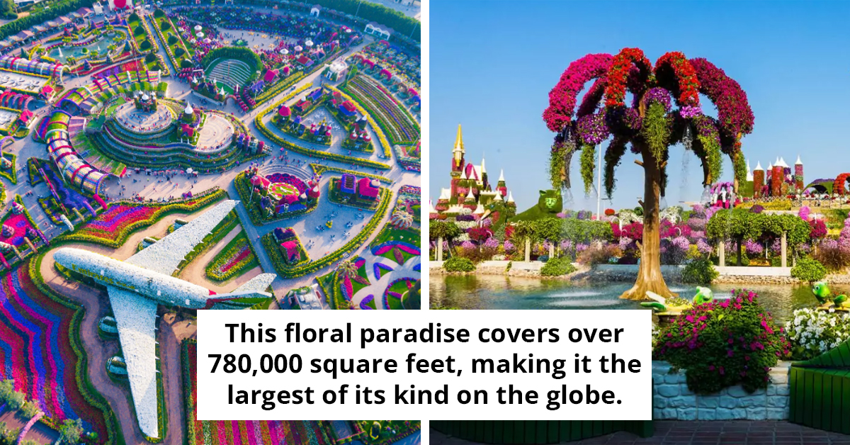 Step Into A World Of Flowers At Dubai's Miracle Garden