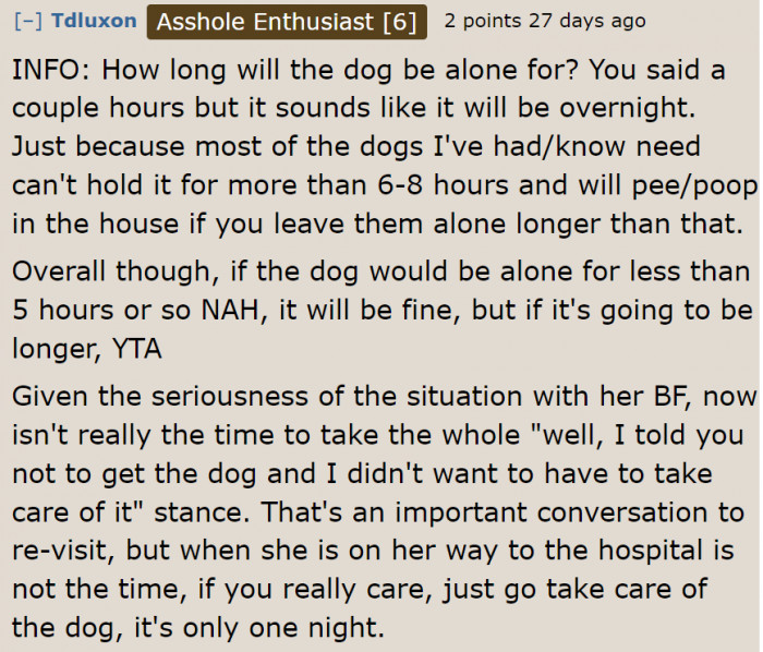 It's also time for the OP to remind her sister about their first conversation regarding getting a dog.