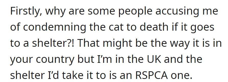 Clarifying accusations, OP questions assumptions about shelter equating to death, noting they're in the UK, considering an RSPCA shelter.