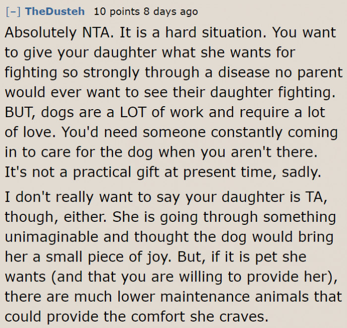 They can meet halfway with a low-maintenance pet.