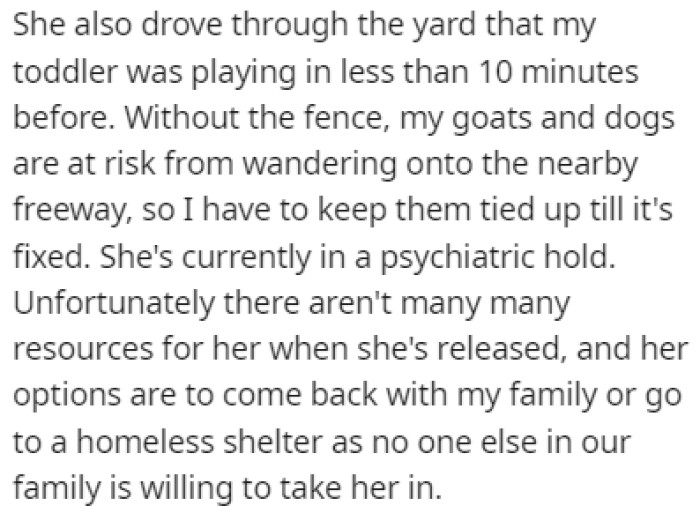 She drove through the yard, too