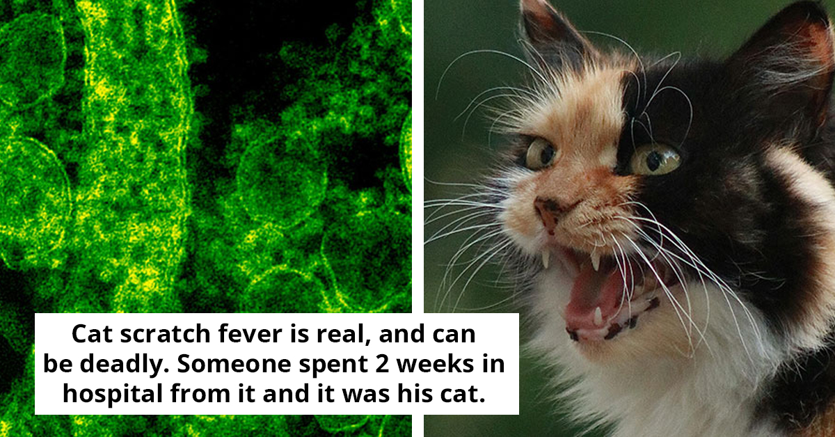 21 Terrifying Medical Facts That Will Haunt You For Days