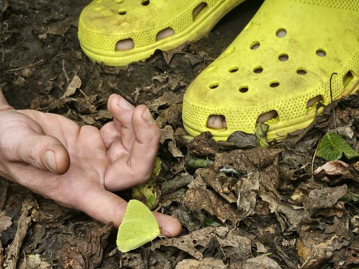 "This Butterfly And These Crocs"