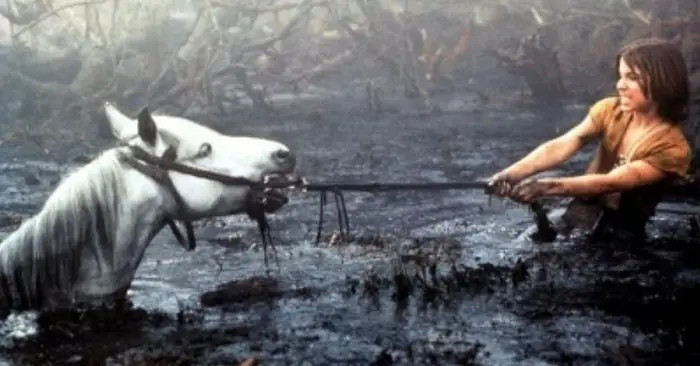 2. When Artax was drowning in a swamp in Neverending Story