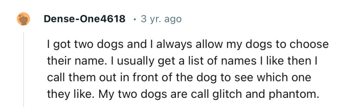 A great way to let your dog choose its name