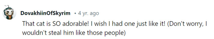 Aww, isn't it purrfect how we can all admire cats without resorting to cat-napping? Sharing the feline love the right way!