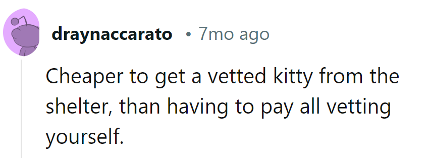 Adopting a shelter kitty: saving cash and saving cats—it's the purrfect combo!