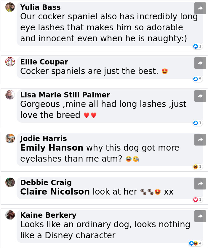 A lot of positive comments.