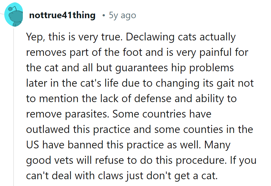 If they can't handle claws, maybe a goldfish is more their speed.