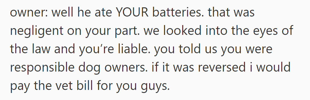 The owner argued negligence, stating they are liable as responsible dog owners, comparing hypothetical situations.