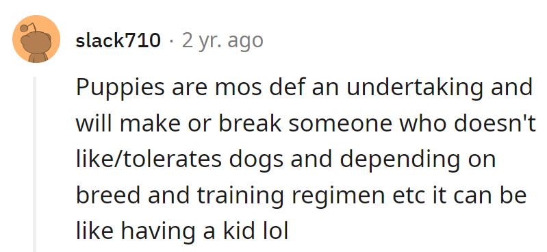 Puppies: the ultimate doggy boot camp! Like parenting, but with fur and fetch.