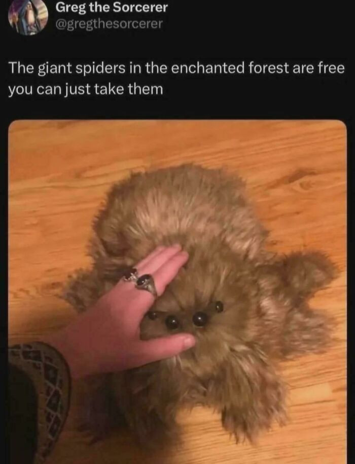 "Fuffles The Pet Giant Spider From The Enchanted Forest"