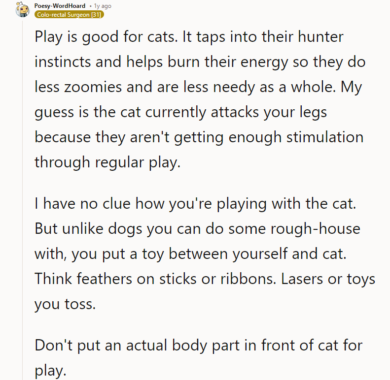 You put a toy between yourself and the cat.