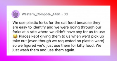 Woman Asks Reddit If She's In The Wrong For Using Human Utensils To Serve Dog Food