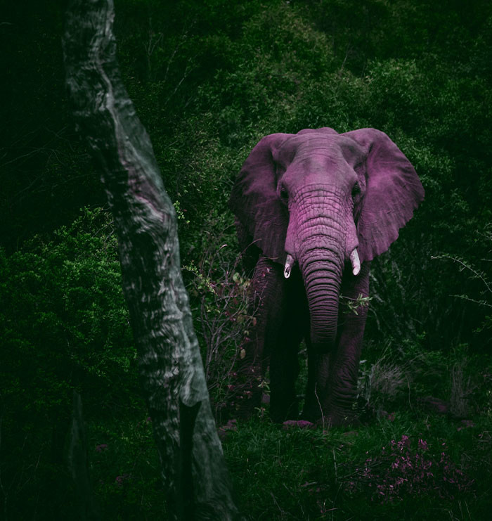 3. This is a great perspective.