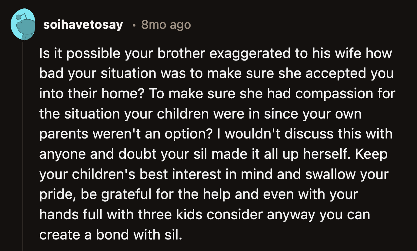 A few Redditors wondered if OP's brother could have embellished her story to make his wife more at ease with OP moving in.