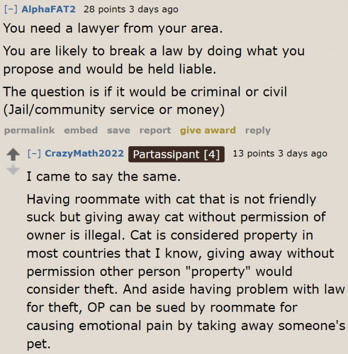 Some Reddit users suggest asking a lawyer first as the OP could be breaking the law by rehoming the cat themselves.
