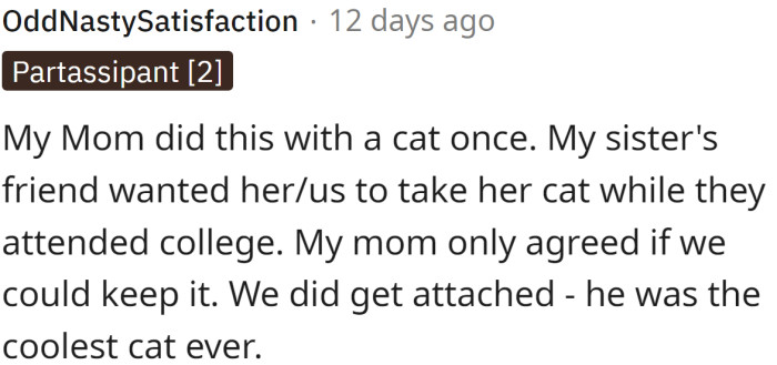 This Redditor shared their experience: