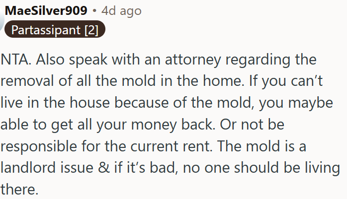 Mold issues are a landlord’s responsibility and could release OP from rent obligations.