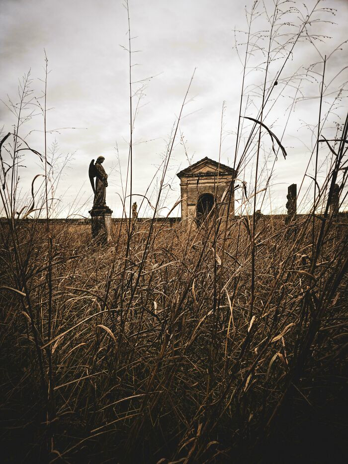 Abandoned Graveyard In Italy