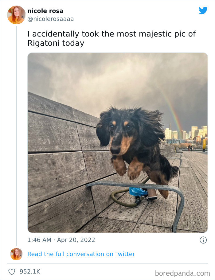 14. The rainbow did its job well for this magnificent boy