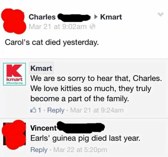 26. Linda’s Kangaroo Died Last Week