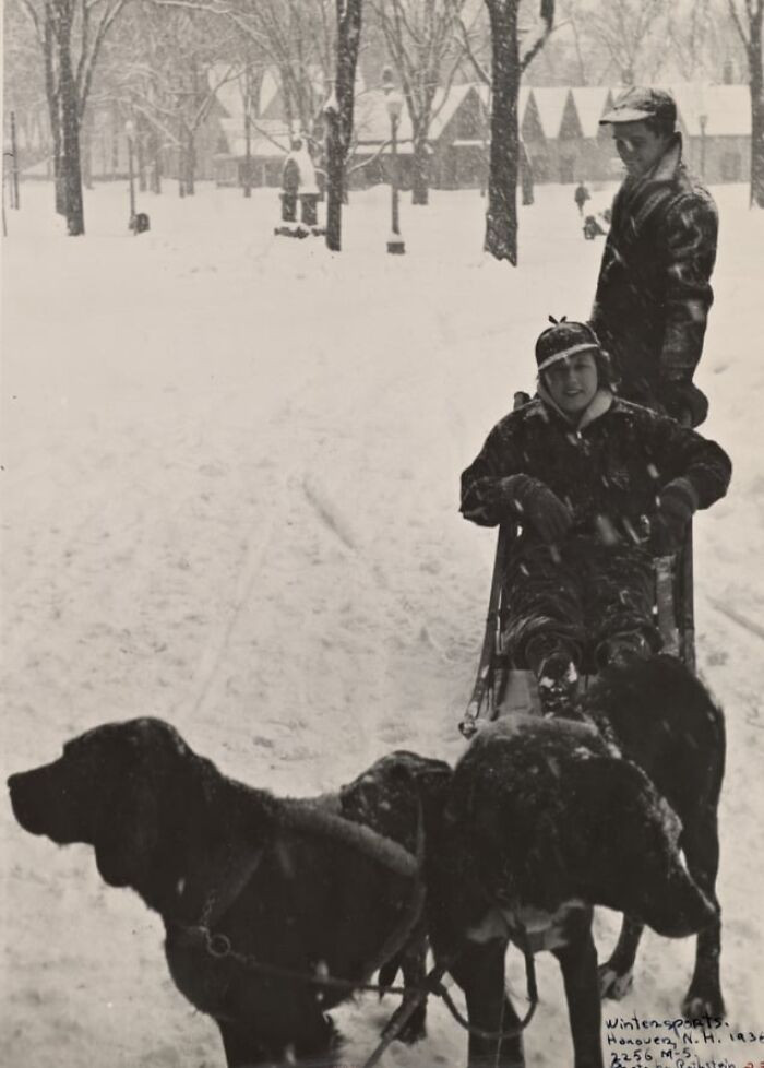A Black And White Photo Of A Man And Dogs In The Snow, Snow Carnival, New Hampshire (Lancaster), 1936