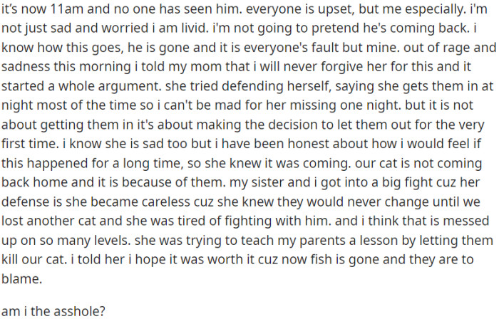 With one cat missing, OP is feeling intense anger and blame toward her family members.