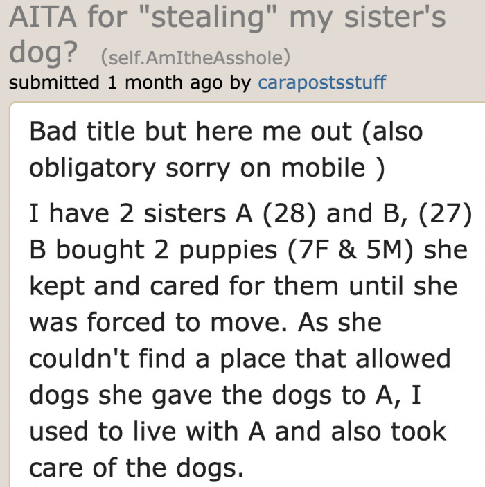 The original poster (OP) explains the situation, saying that their sister gave up her dogs to their other sister.