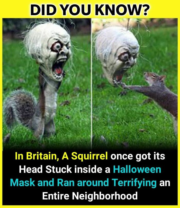 33. Scary squirrel