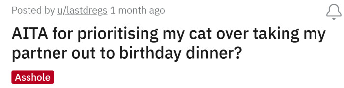 The Redditor asked if she's an a**hole for prioritizing her cat over her partner's birthday.