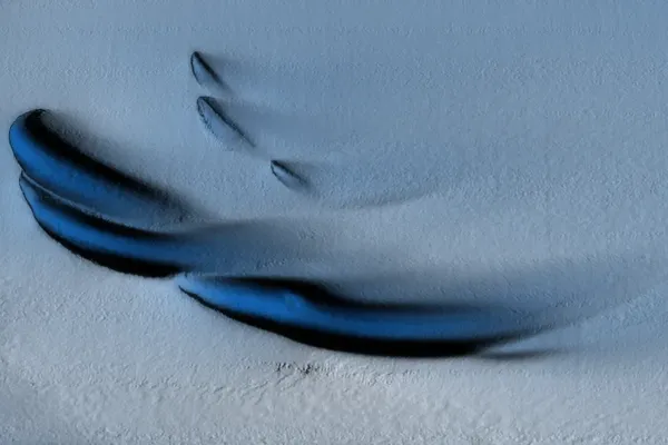 Ice formations shaped like mussels were found on the underside of the vast glacier.