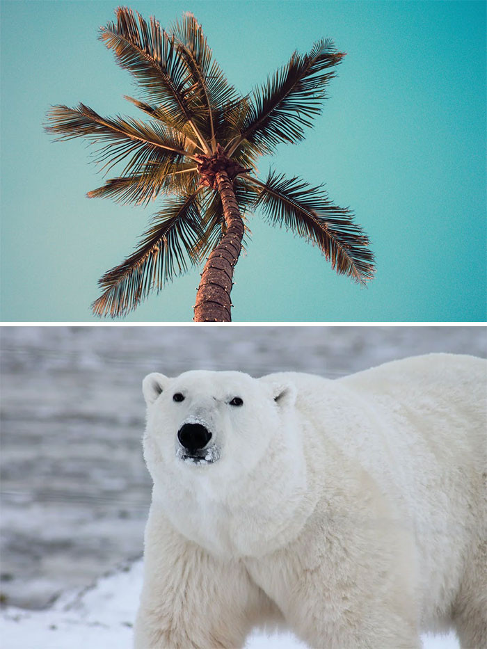 6. I really can't even imagine this, but I believe it.