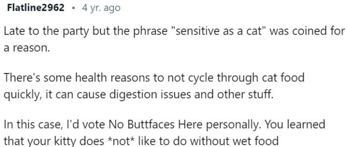 A Lesson in the Importance of Wet Food for Feline Happiness