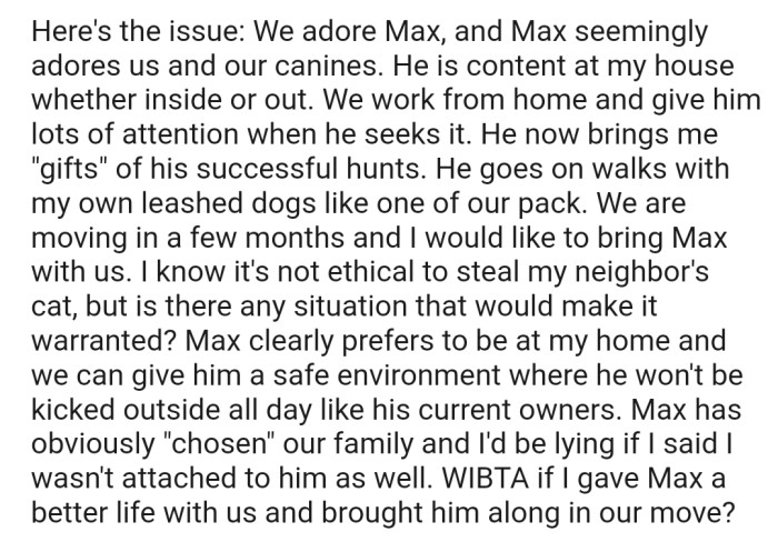 OP Feels They Can Give Max a Better Life, but Is Stealing Someone Else's Cat the Right Approach?
