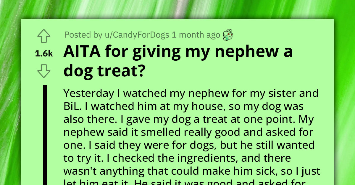 Redditor Faces Parental Backlash After Letting Nephew Try A Dog Treat