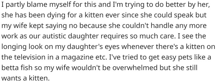 . In an effort to make things better and bring joy to his daughter, OP decided against his wife's wishes to get her a kitten.