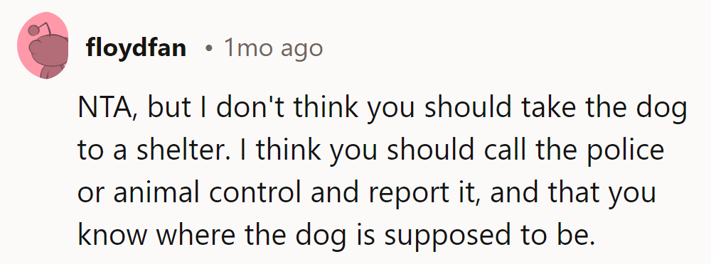 NTA, but skip the shelter drama. Call the cops or animal control instead; they'll handle it.
