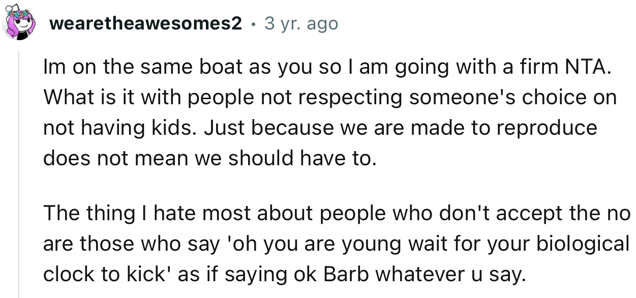 “I’m on the Same Boat as You, So I Am Going with a Firm NTA. What Is It with People Not Respecting Someone's Choice on Not Having Kids?”