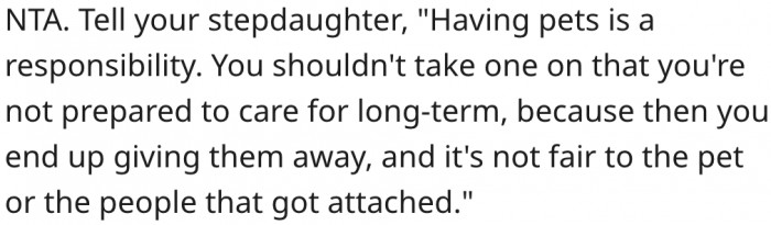 5. She should explain to her stepdaughter the responsibility that comes with owning pets.