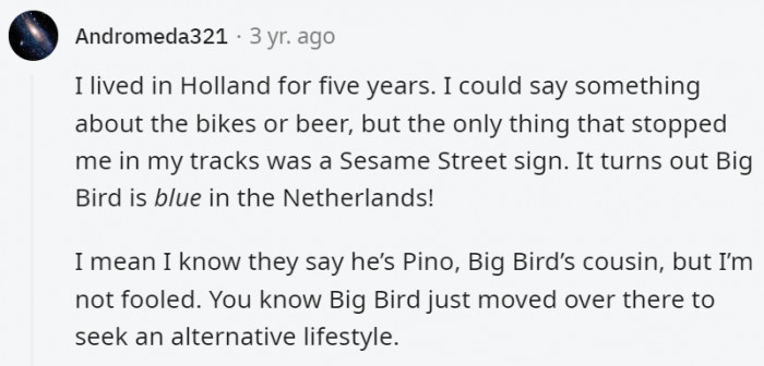 11. Big Bird knows what's up