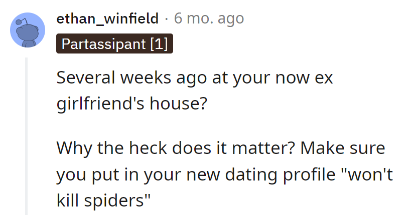 Timeline aside, this hero doesn't squish spiders. New dating profile: Spider's best friend!