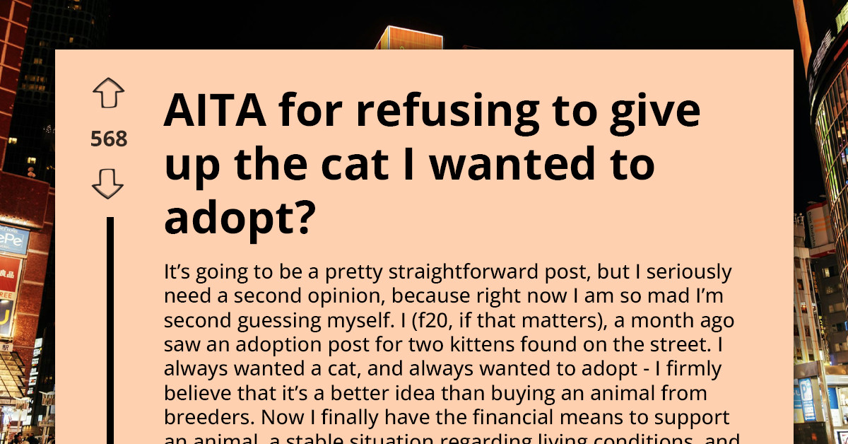 Woman Set To Finalize Kitten Adoption Gets Last-Minute Call Pressuring Her To Back Out - Because A Child Got Attached