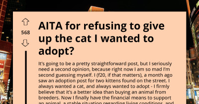 Woman Set To Finalize Kitten Adoption Gets Last-Minute Call Pressuring Her To Back Out - Because A Child Got Attached