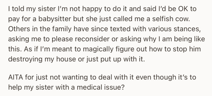 OP insisted that she’d rather help her sitter pay for a babysitter instead of doing the babysitting. This suggestion prompted her sister to get upset and throw insults