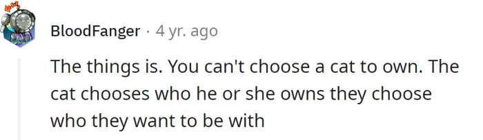 The Fact Is That a Cat Chooses Its Owner and Not the Opposite